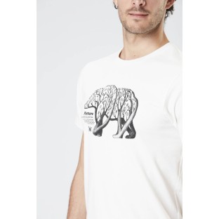 D&S BEAR BRANCH TEE | t-shirt - homme