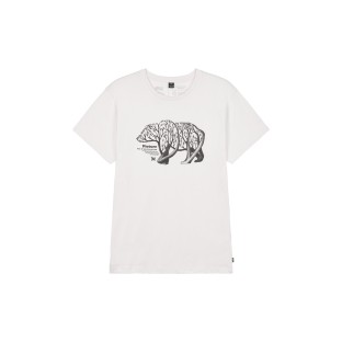 D&S BEAR BELLY TEE|...