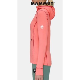 TAISS LIGHT ML HOODED JACKET | Polaire - randonnée - Femme