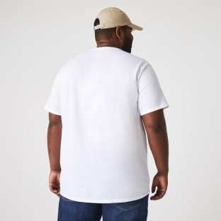 TH6709 |T-Shirts - Homme - regular