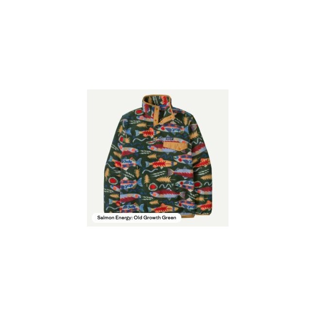 M'S LW SYNCH SNAP-T P/O | Pullover - Homme - Polaire