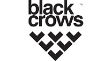 Black Crows