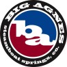 BIG AGNES